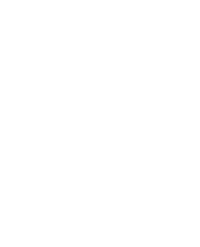logo DIAP_ol